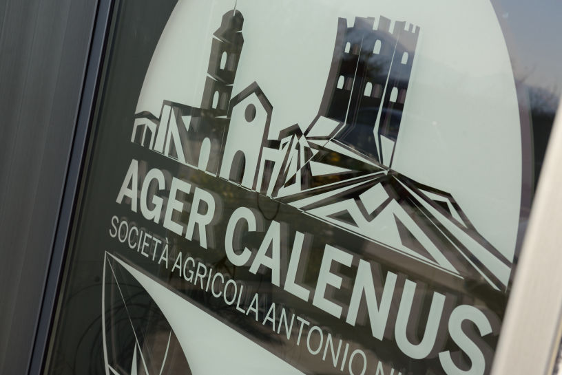 Ager Calenus